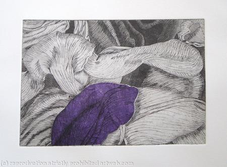 Tulipmania 12 - Etching - Purple