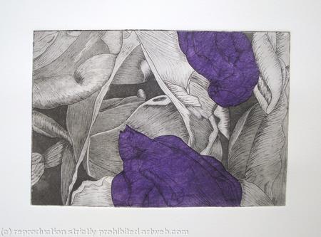 Tulipmania 19 - Etching - Purple