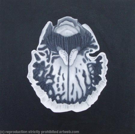 Abstract Orchid 1 B/W - SOLD