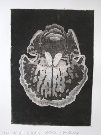 Abstract Orchid 1 - Etching - Peach