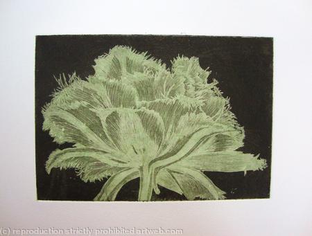 Cool Cystal Aquatint Etching Green