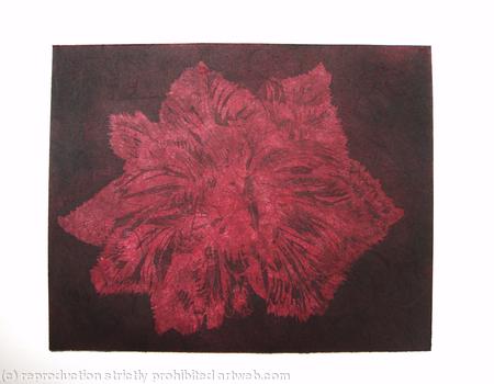 Caspin Dark Tulip Aquatint Etching Burg
