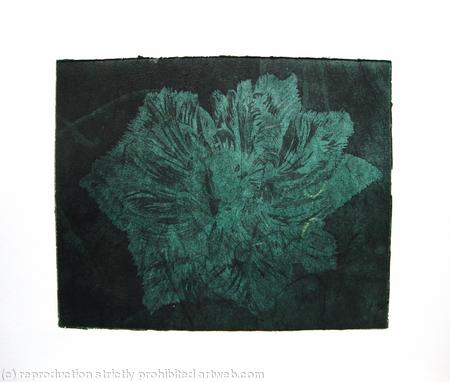 Caspin Dark Tulip Aquatint Etching Dk Green