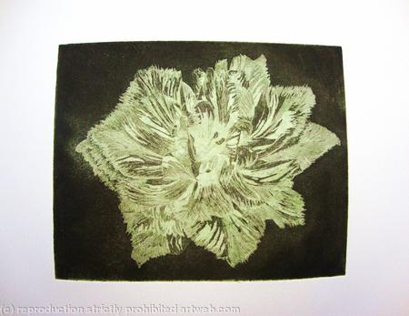 Caspin Dark Aquatint Etching Lt Green