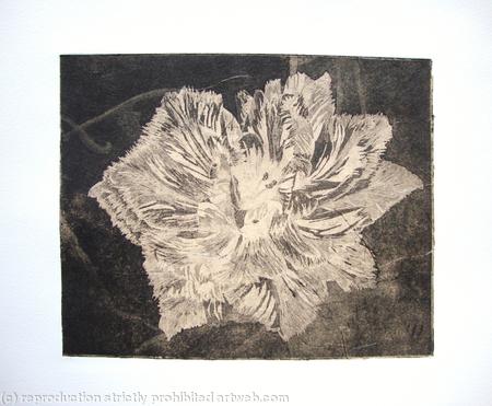 Caspin Dark Aquatint Etching Peach