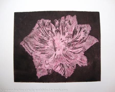 Caspin Dark Aquatint Etching Pink