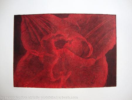 Compostella Tulip Aquatint Etching Red