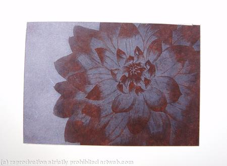 Dahlia1 brown