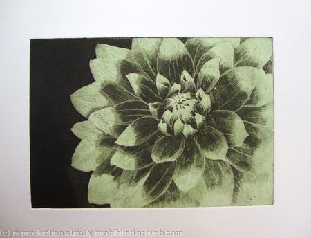 Dahlia1 lt green
