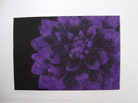 Dahlia1 purple