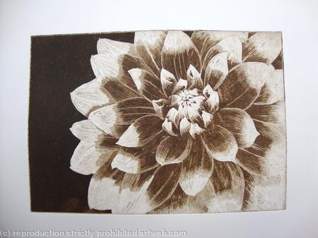 Dahlia1 sepia