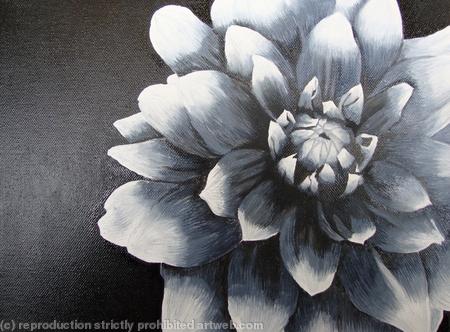 Dahlia B/W
