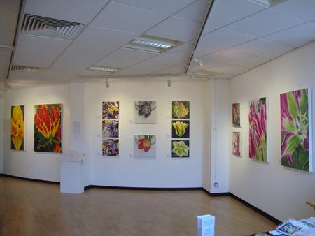 Rugby Art Gallery and Museum, March 2012