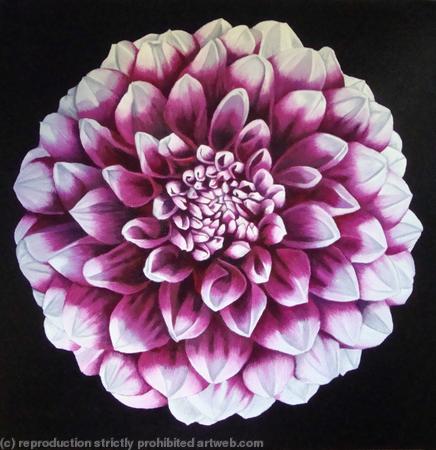 Pink Dahlia - SOLD
