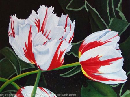 Happy Generation Tulips - SOLD