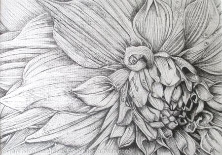 B/W Dahlia Flower 4 - SOLD