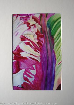 Abstract Tulip 4 - Print