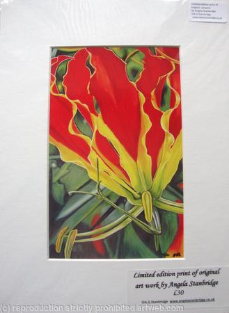 Gloriosa - Print