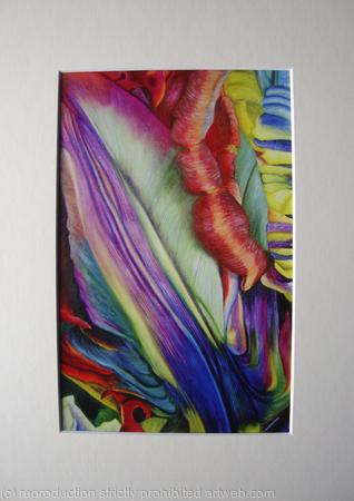 Abstract Tulip 5 - Print