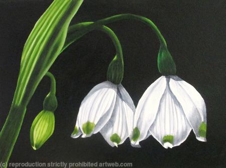 Snowdrop 3