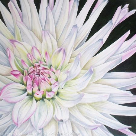 Dahlia Park Princess