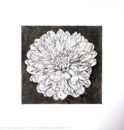 B/W Dahlia Flower 7