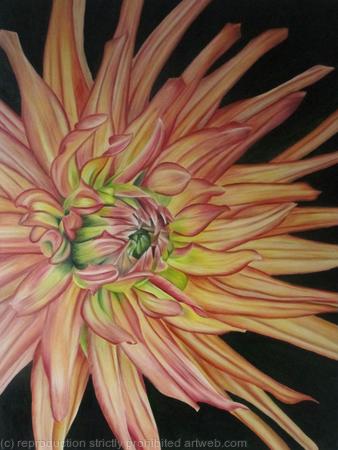 Dahlia Wootton Imapact - Medium Greetings Card
