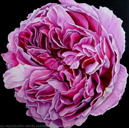 Charles Rennie Mackintosh Rose