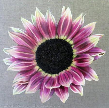 Strawberry Blonde Sunflower - Square Greetings Card