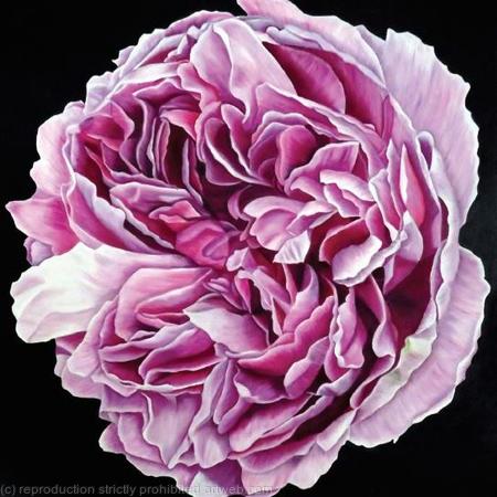 Charles Rennie Mackintosh Rose - Square Greetings Card