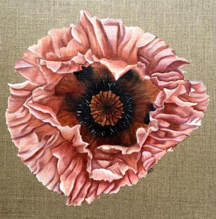 Peach Poppy - Square Greetings Card