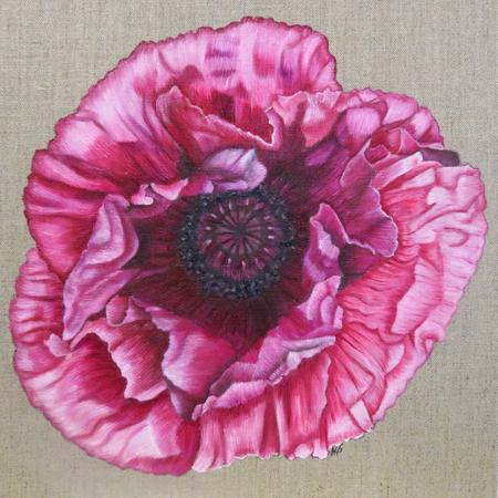 Pink Poppy - Square Greetings Card