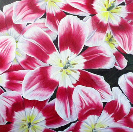 Dream World Tulip - Square Greetings Card