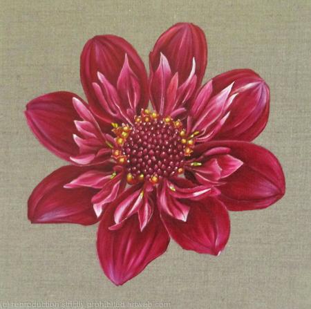 Dahlia Hootenanny Greetings Card