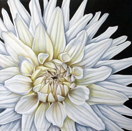 White Moonlight Dahlia - Square Greetings Card