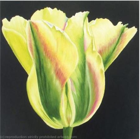 Golden Artist - Greetings Card