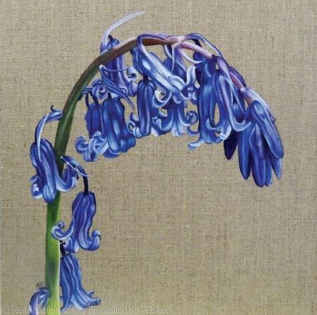 Blue Bell - Greetings Card