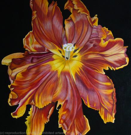 Terracotta Tulip - Greetings Card