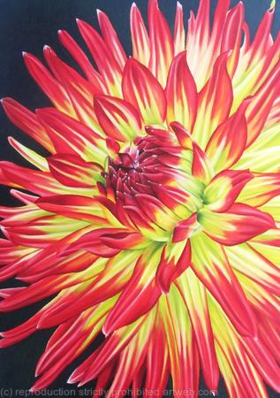 Dahlia Weston Spanish Dancer - Medium Greetings Card