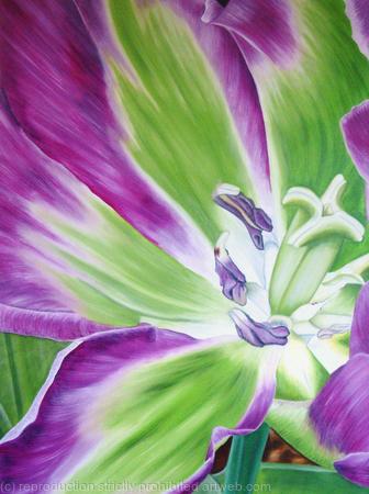 Nightrider Tulip - Medium Greetings Card