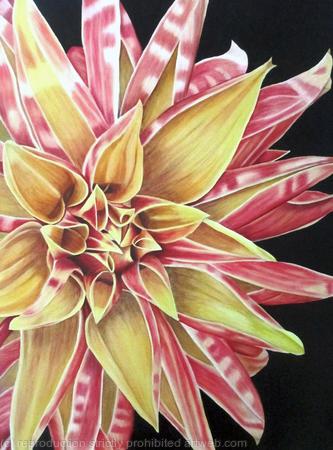 Giraffe Dahlia - Medium Greetings Card