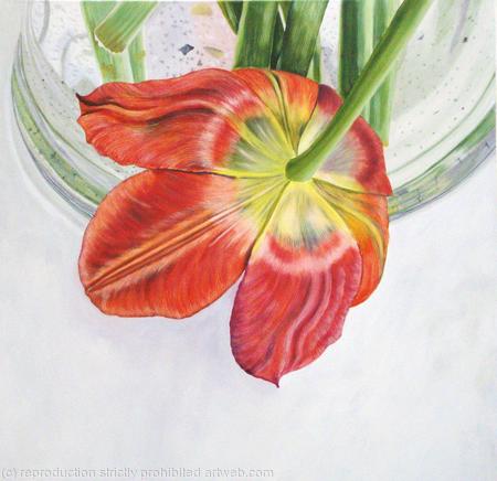 Tulipmania 2 - Greetings Card