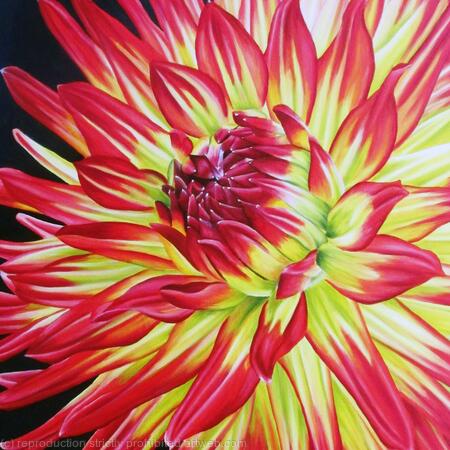 Dahlia Weston Spanish Dancer 2 - Greetings Card