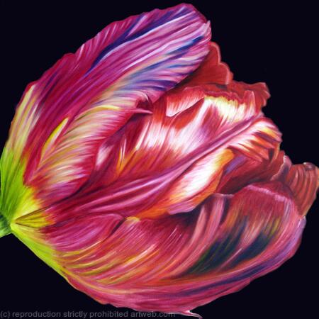 Red Tulip - Greetings Card