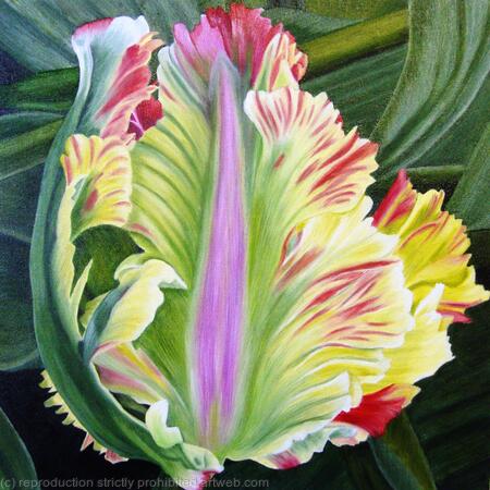 Flaming Parrot - Greetings Card