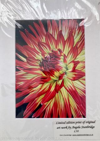 Dahlia Weston Spanish Dancer - Print
