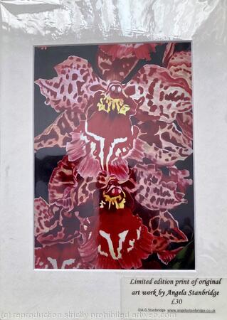 Cascade of Orchids - Print