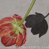 Tulipmania 1 - Linen