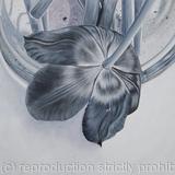 Tulipmania 2 - Black and White