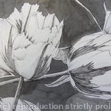 Tulipmania 3 - Pen and Ink - SOLD
